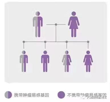 健康托付，關(guān)愛彼此 腫瘤基因檢測在療養(yǎng)院中的守護與溫度