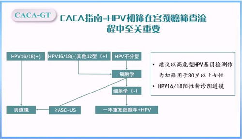 魏冰教授深入解讀基因檢測規(guī)范,助力腫瘤患者邁入精準(zhǔn)治療時(shí)代