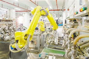 江門日報多媒體報刊的技術(shù)開發(fā)與數(shù)字化轉(zhuǎn)型