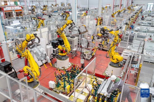 企業(yè)生產(chǎn)忙 技術(shù)咨詢助力提質(zhì)增效